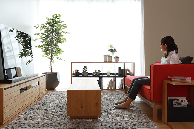 CUDDLE（カドル） テレビボード W200（在庫品） 