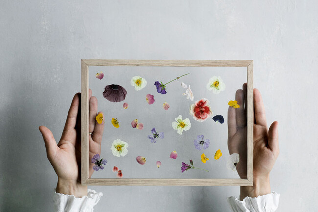 フレーム OAK 額縁 