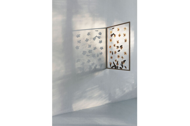 フレーム OAK 額縁 