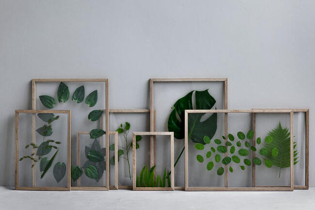 フレーム OAK 額縁 