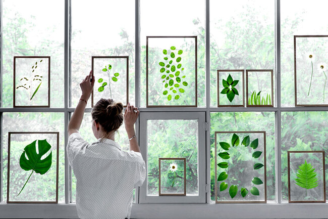 フレーム OAK 額縁 