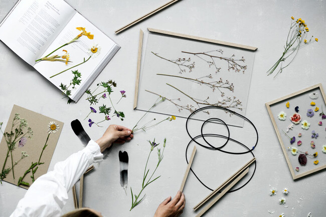 フレーム OAK 額縁 