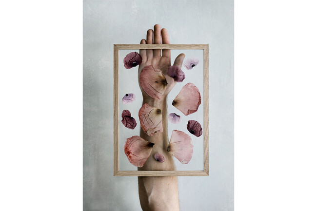 フレーム OAK 額縁 