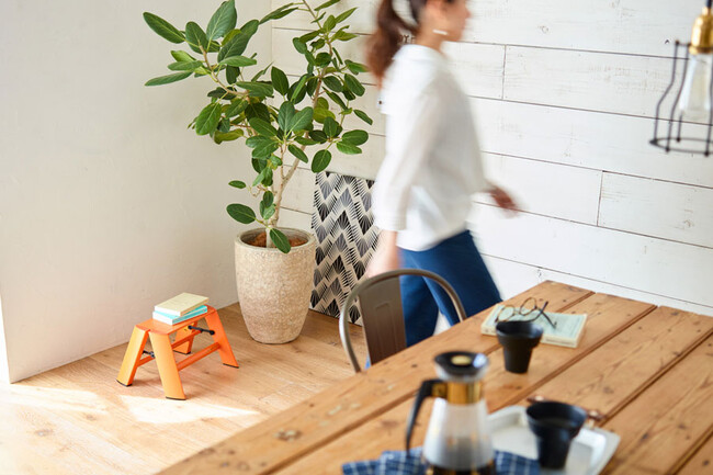 LUCANO（ルカーノ）1ステップ 脚立 ホワイト * 