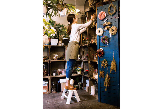 LUCANO（ルカーノ）1ステップ 脚立 ホワイト * 