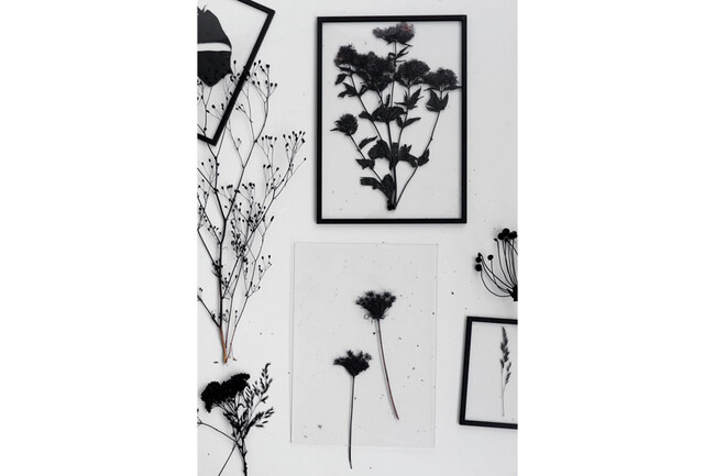 フレーム BLACK 額縁 