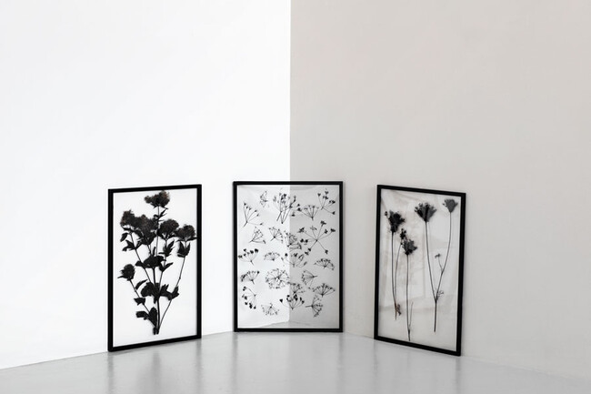 フレーム BLACK 額縁 