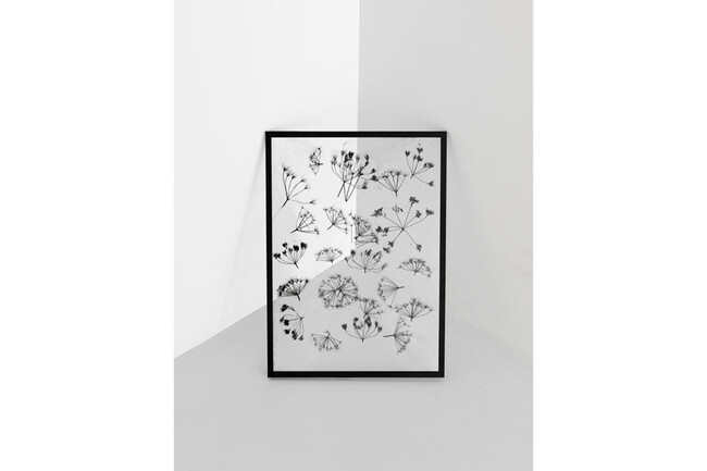 フレーム BLACK 額縁 