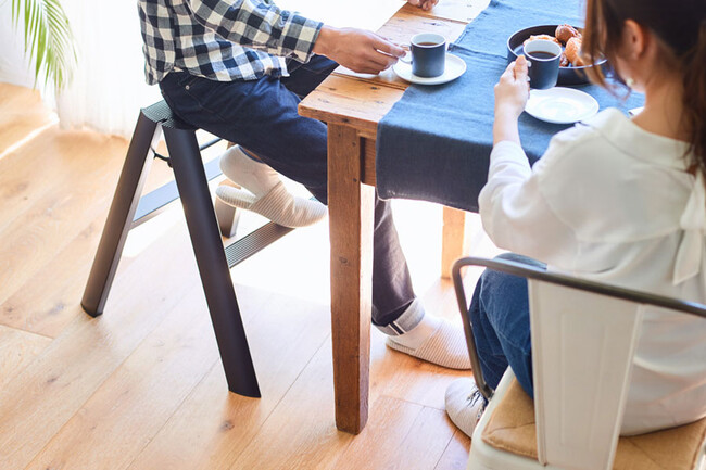 LUCANO（ルカーノ）2ステップ 脚立 ホワイト * 