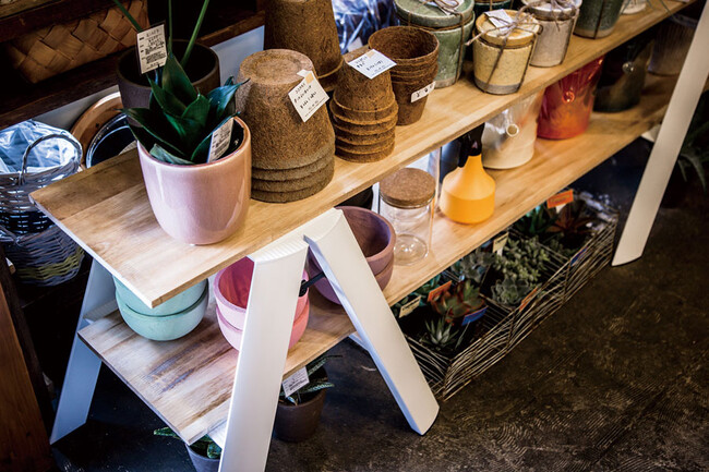 LUCANO（ルカーノ）2ステップ 脚立 ホワイト * 