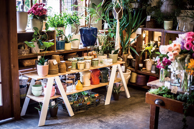 LUCANO（ルカーノ）2ステップ 脚立 ホワイト * 