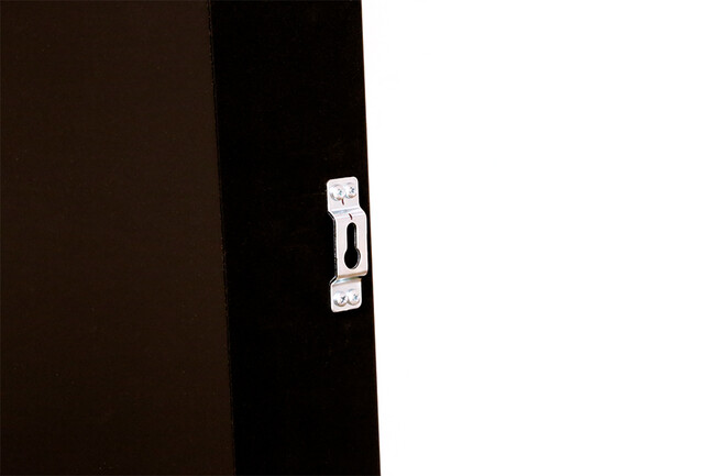 ディーバ172x100cm フレームピクチャー 