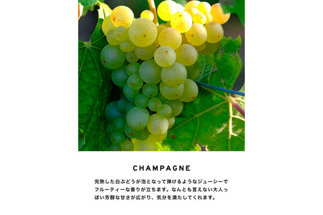 ディフューザー100ml シャンパン * 