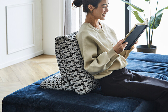 NESSO（ネッソ）ソファ　TYPE D（本体：ES01） 