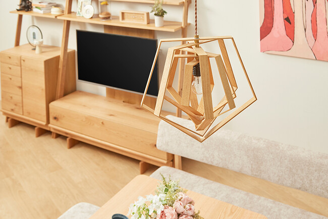 BYGZAM（ビグザム）ペンダントライト BR 