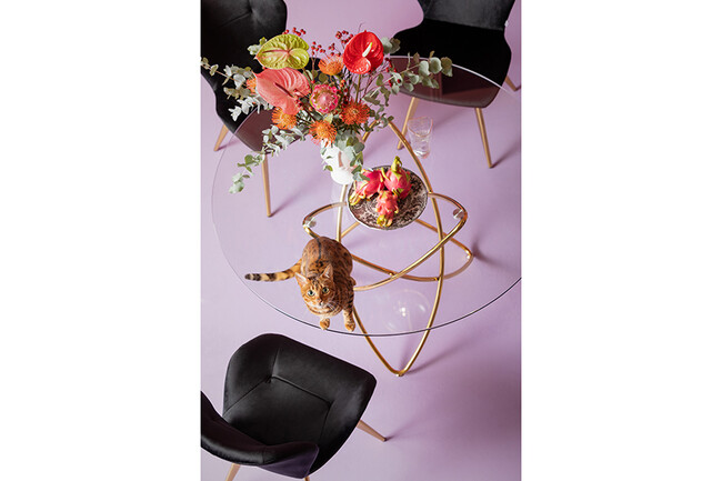 モレキュラーゴールド O120cm ダイニングテーブル 