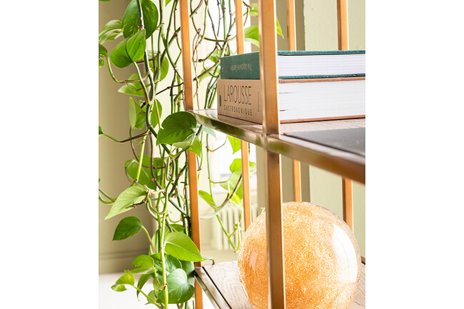 セサロ90×170 cm　シェルフ 