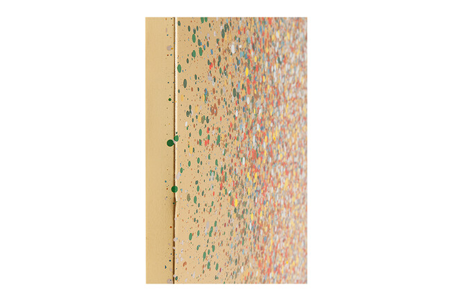 フラワーボートゴールドレッド100x80cm　タッチドピクチャー 