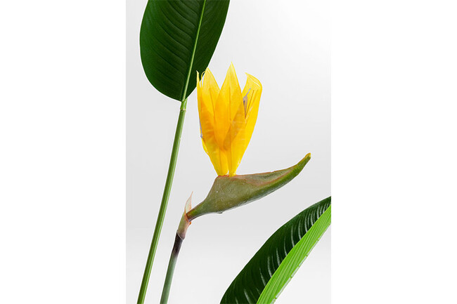 パラダイスフラワー 190cm デコプラント 