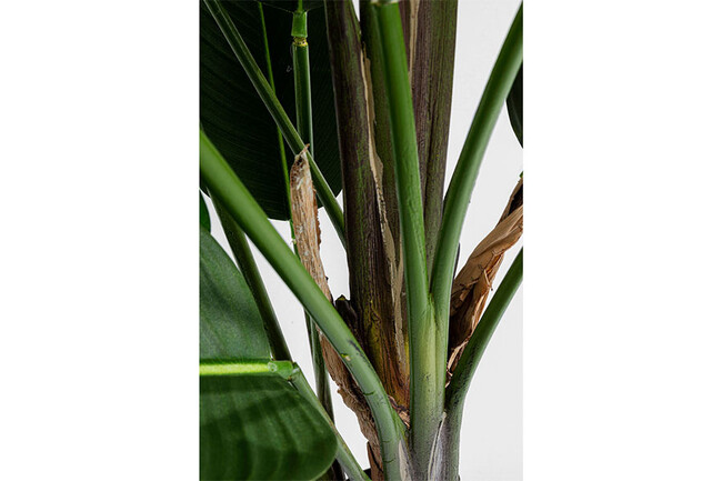 パラダイスフラワー 190cm デコプラント 