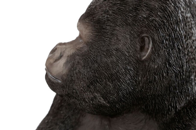 モンキーゴリラ サイドXL-R デコフィギア 