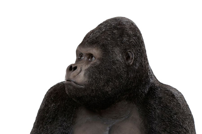 モンキーゴリラ サイドXL-R デコフィギア 