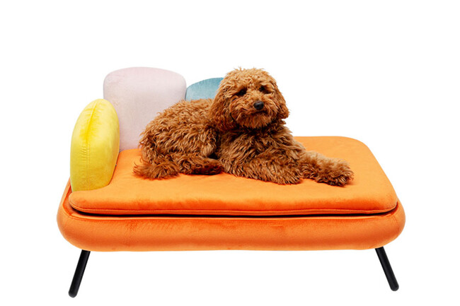 ディーバ オレンジ　ドッグ/キャット ベッド 