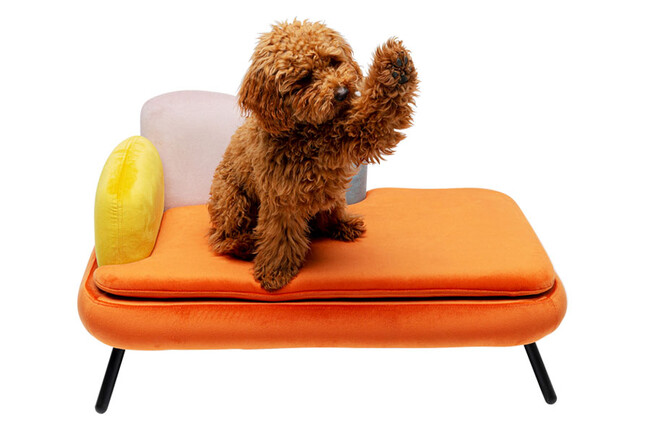 ディーバ オレンジ　ドッグ/キャット ベッド 