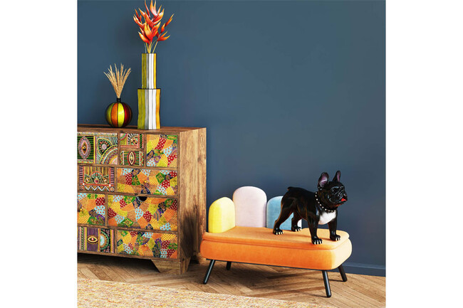 ディーバ オレンジ　ドッグ/キャット ベッド 