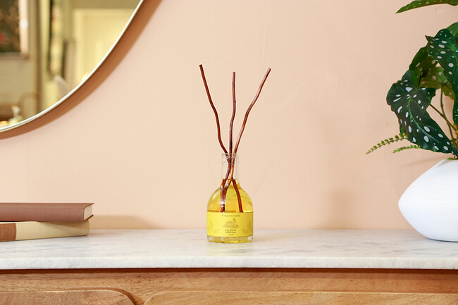 MODERN NOTES (モダンノーツ) ワインコレクション ディフューザー レギュラー MIMOSA（ミモザ） 