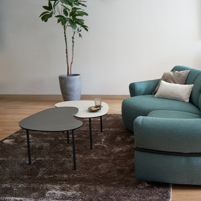 BEAN（ビーン）コーヒーテーブル 