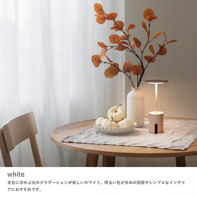 Cockterior カクテリア ポータブルランプ（ブラック） 