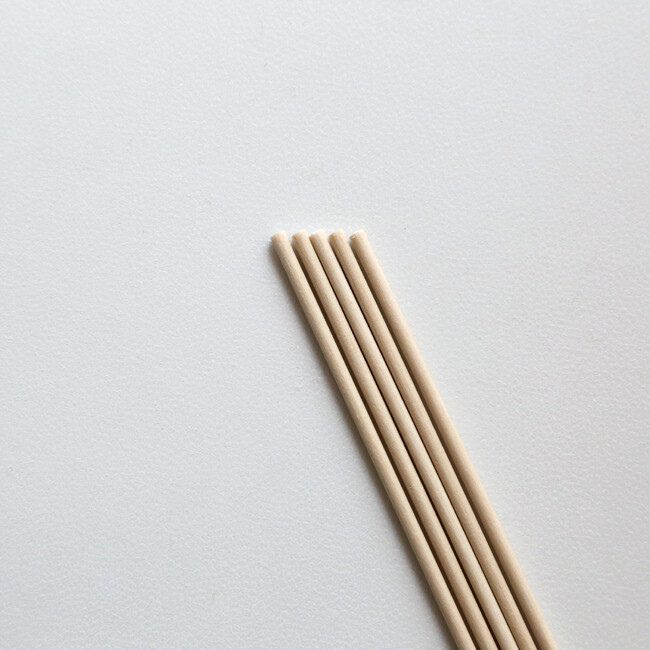 リードスティック（Beige） Beige