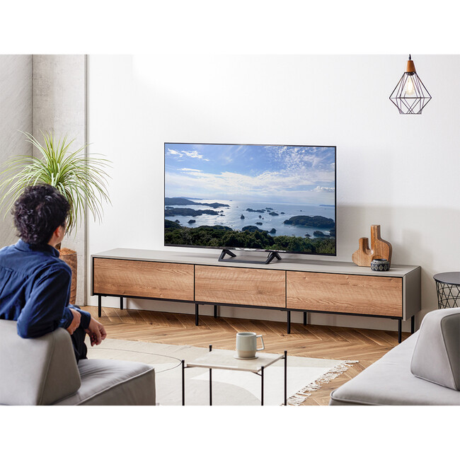 Leo（レオ） テレビボード 