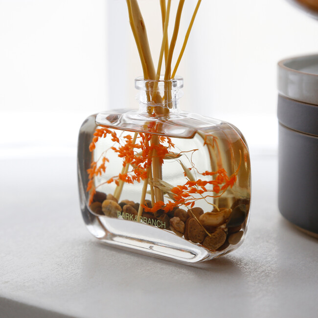 BARK&BRANCH ディフューザー100ml （パロサント） パロサント