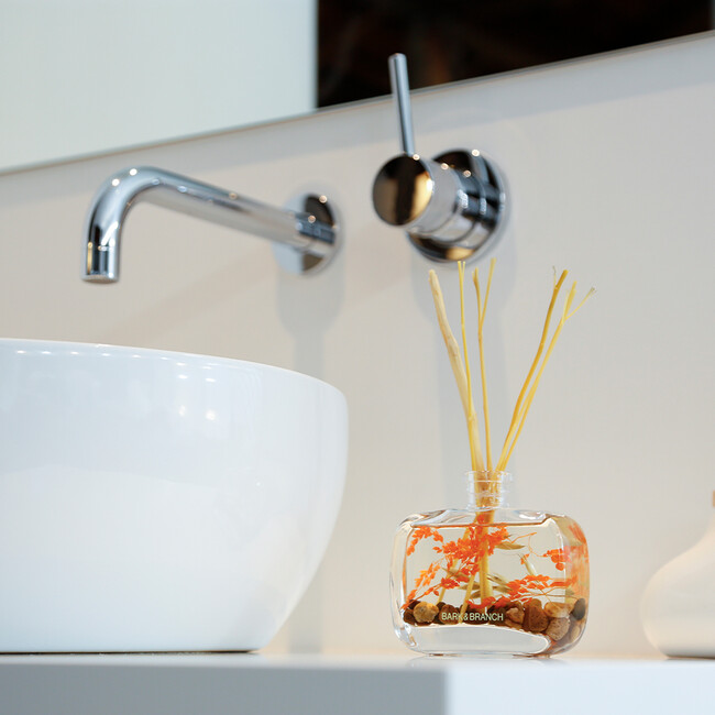 BARK&BRANCH ディフューザー100ml （パロサント） パロサント