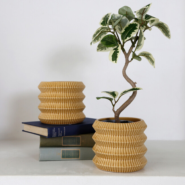 レギナ 11 プランター レギナ イエロー