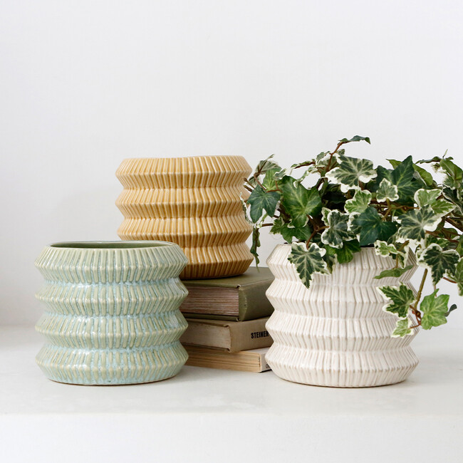 レギナ 11 プランター 