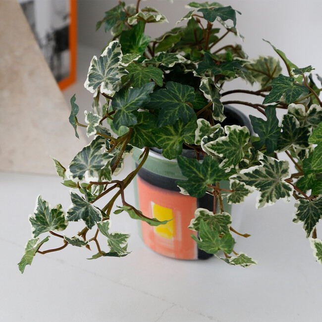 マリソル 10G プランター マリソル10G