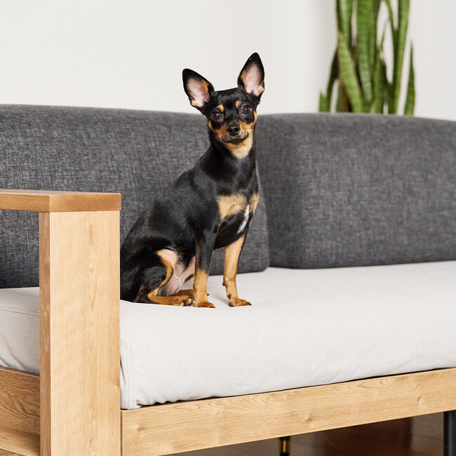 SYU（シュウ）ソファ専用 オーバーカバー（ダークグレー） ライトグレー