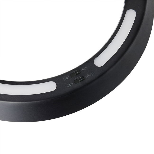 Loop LED-pendant light （ループペンダントライト） 