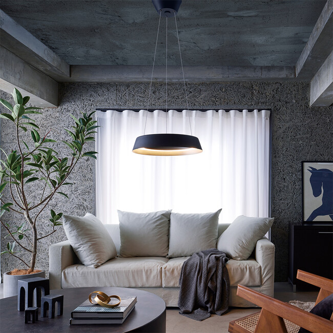 Loop LED-pendant light （ループペンダントライト） BK/CGD