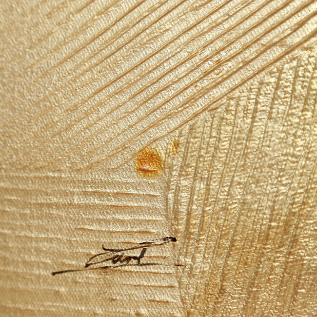 InspireA (インスパイアA) 42×30cm【撮影使用現品】 インスパイアA