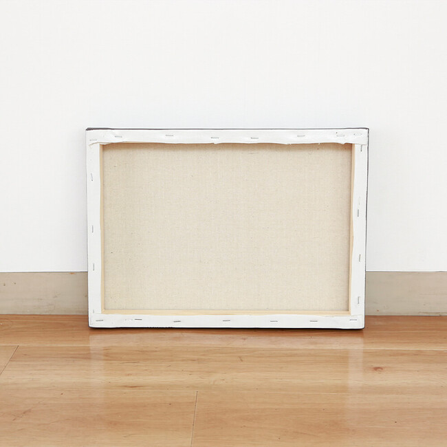 InspireA (インスパイアA) 42×30cm【撮影使用現品】 