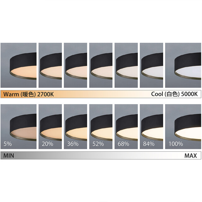 Glow (グロー) LED floor lamp (フロアランプ） 