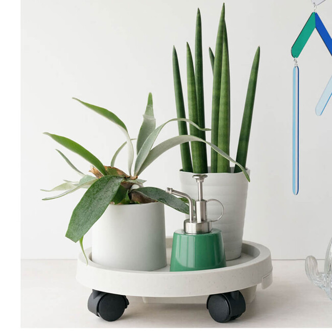 PLANTS TRAY（プランタートレイ）（WH） WH