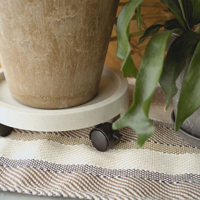 PLANTS TRAY（プランタートレイ）（WH） WH