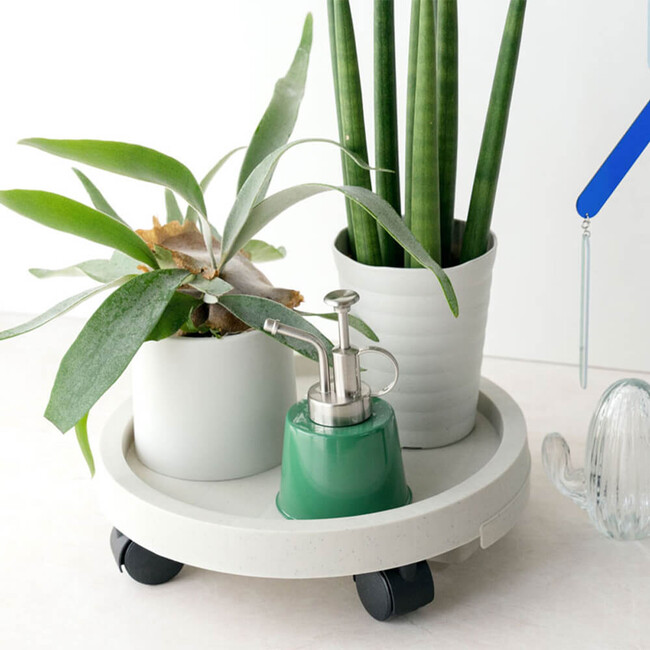 PLANTS TRAY（プランタートレイ）（WH） WH