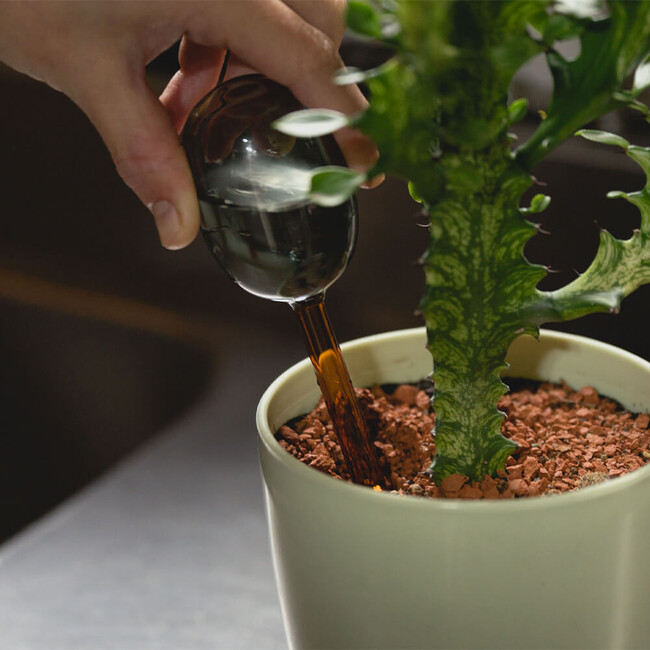 TWO TONE WATER DISPENSER（ツートン ウォーター ディスペンサー）AM×GR 