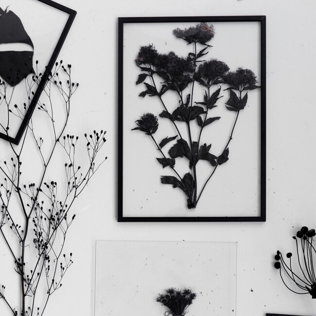 FAB40x50 フレーム 40x50cm (ブラック) 